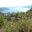 sahra